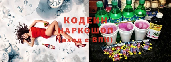 индика Ленинск-Кузнецкий
